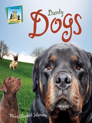cover image of Dandy Dogs
